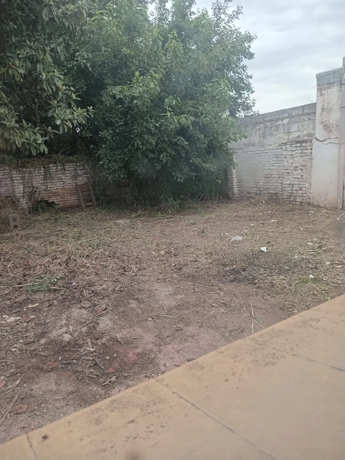 VENTA – LOTE / CBA CAPITAL / VILLA AZALAIS OESTE
