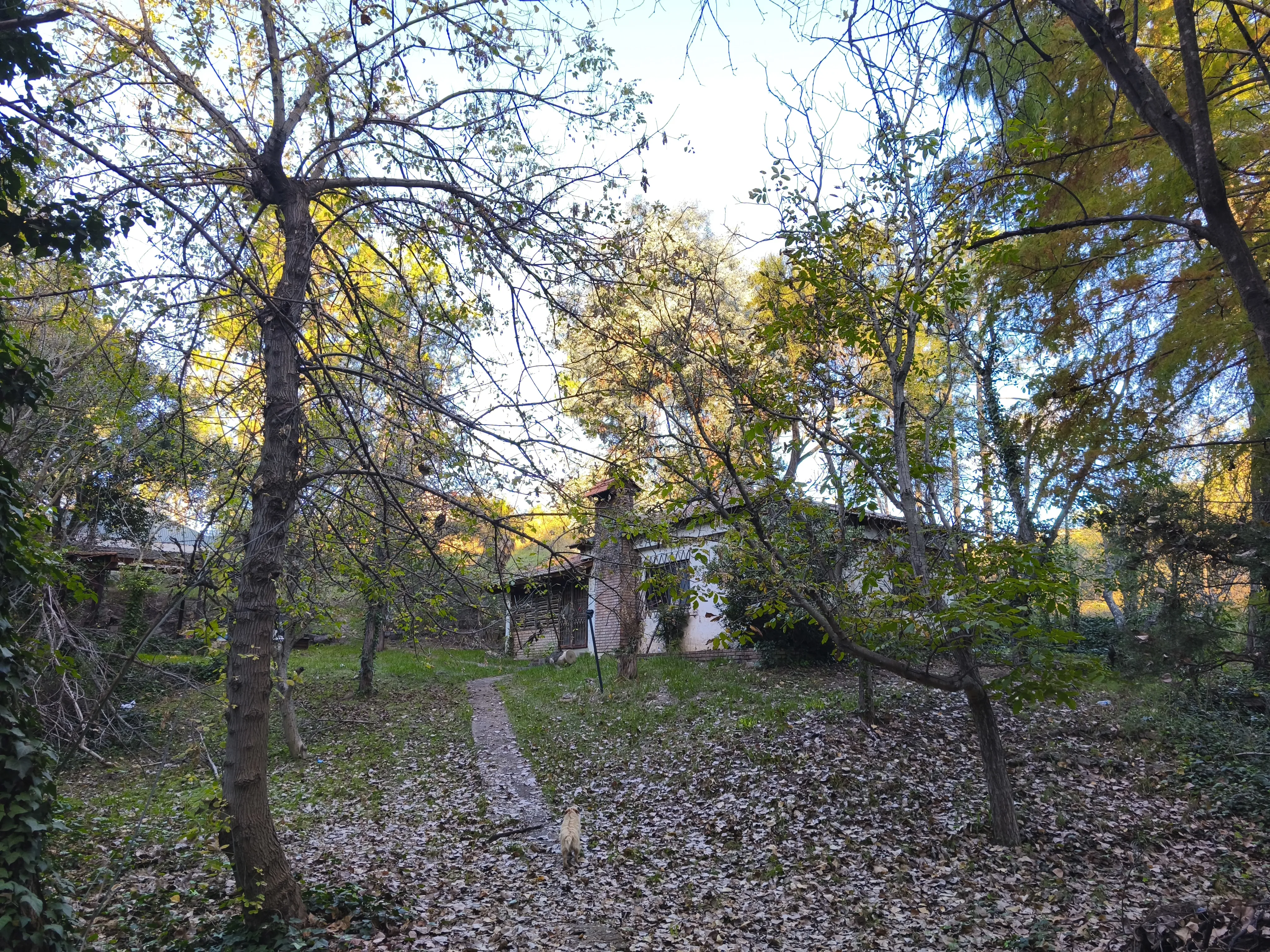 Vendo lote de 3 1/2 hectáreas en Estancia Vieja