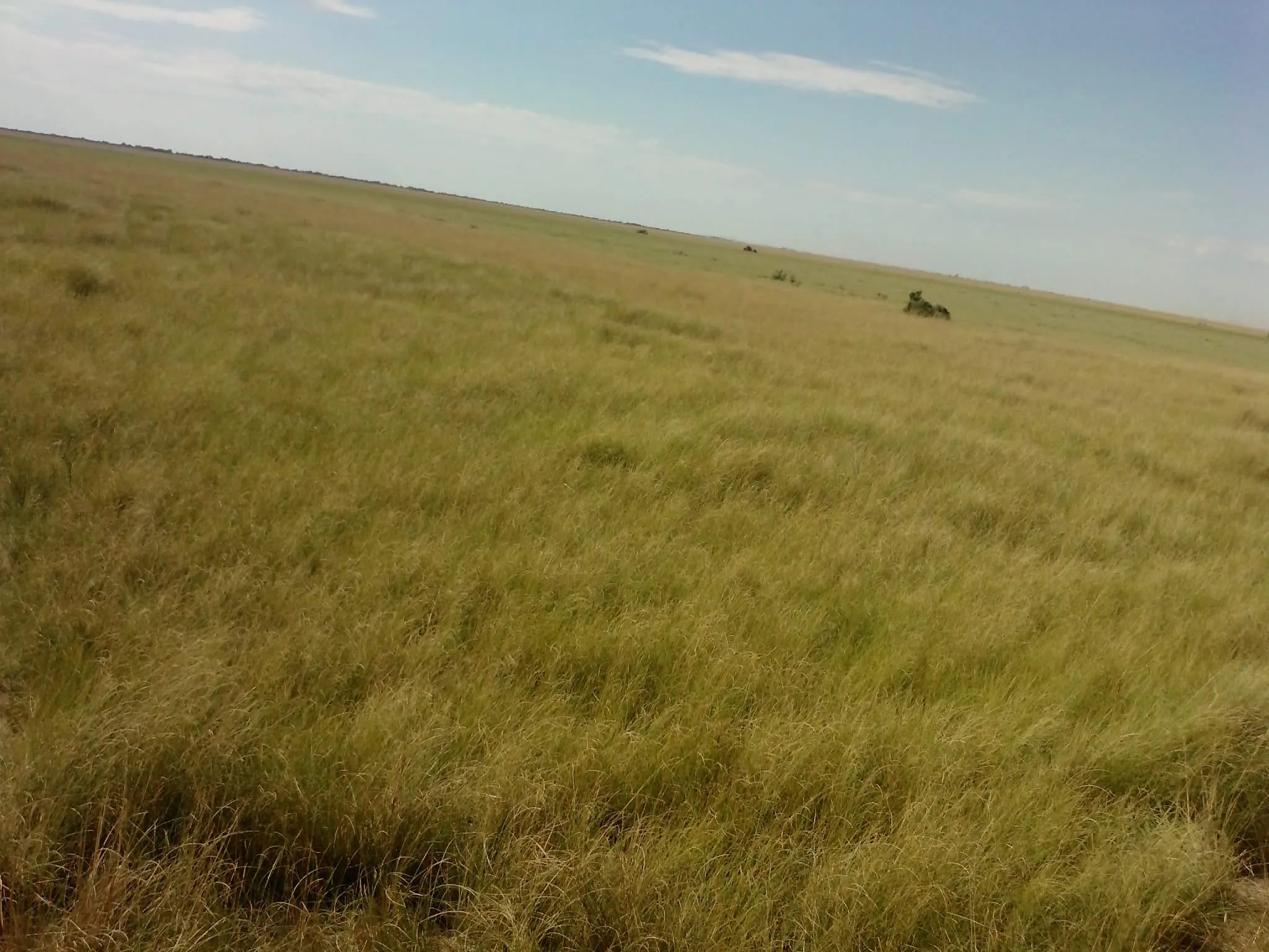 Vendo Hermoso Campo Ganadero en La Rinconada