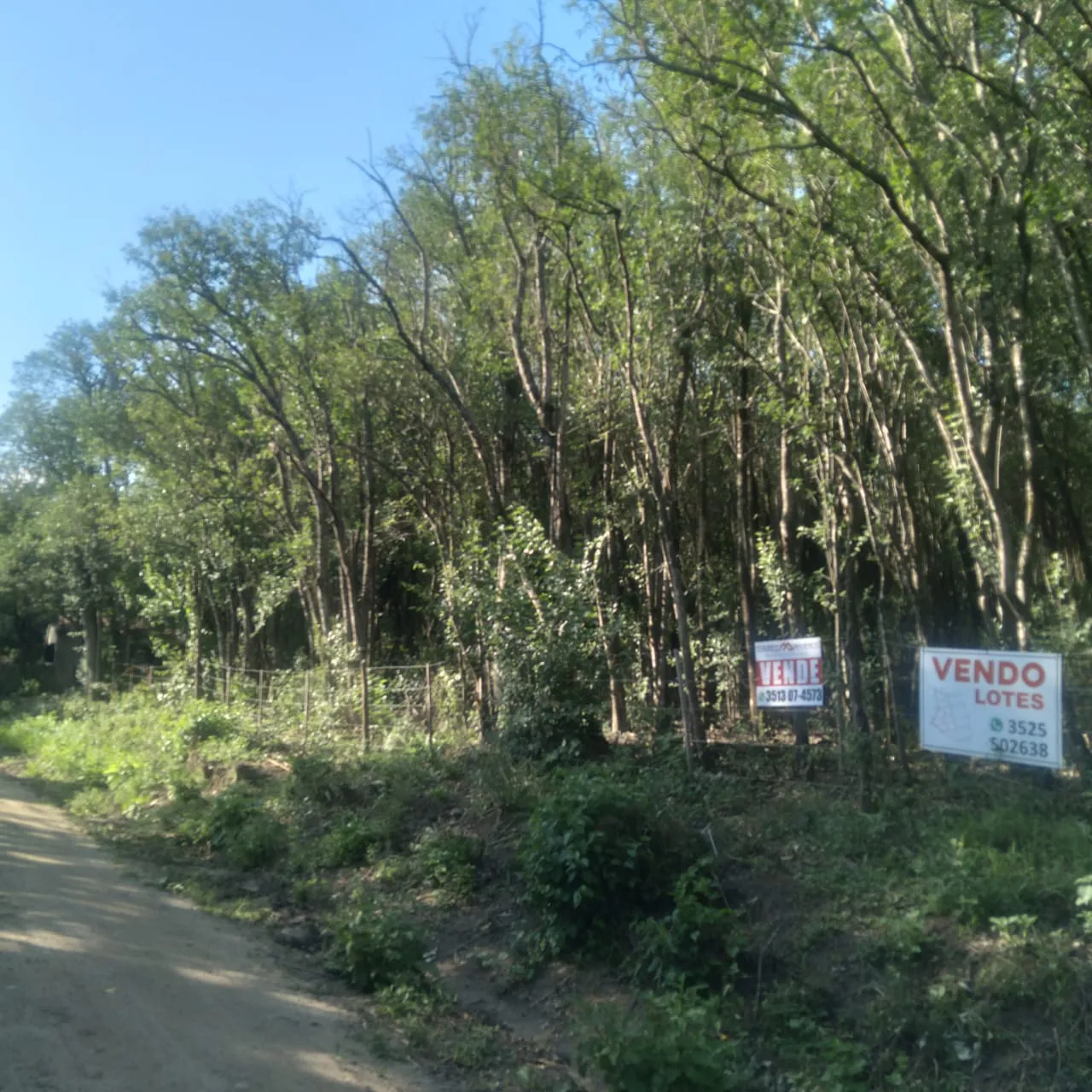 Lotes en venta en La Granja – 1.500 m² con escritura