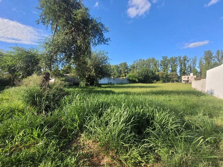 Lotes en venta en Colonia Caroya- Sup. 717m2-Escritura