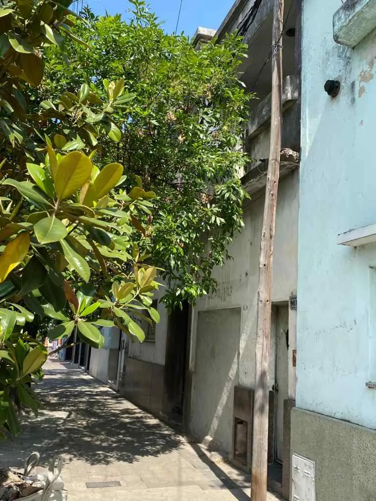 B Pueyrredón, Suipacha y F Frias, 450mts, Zona C1 - CONS