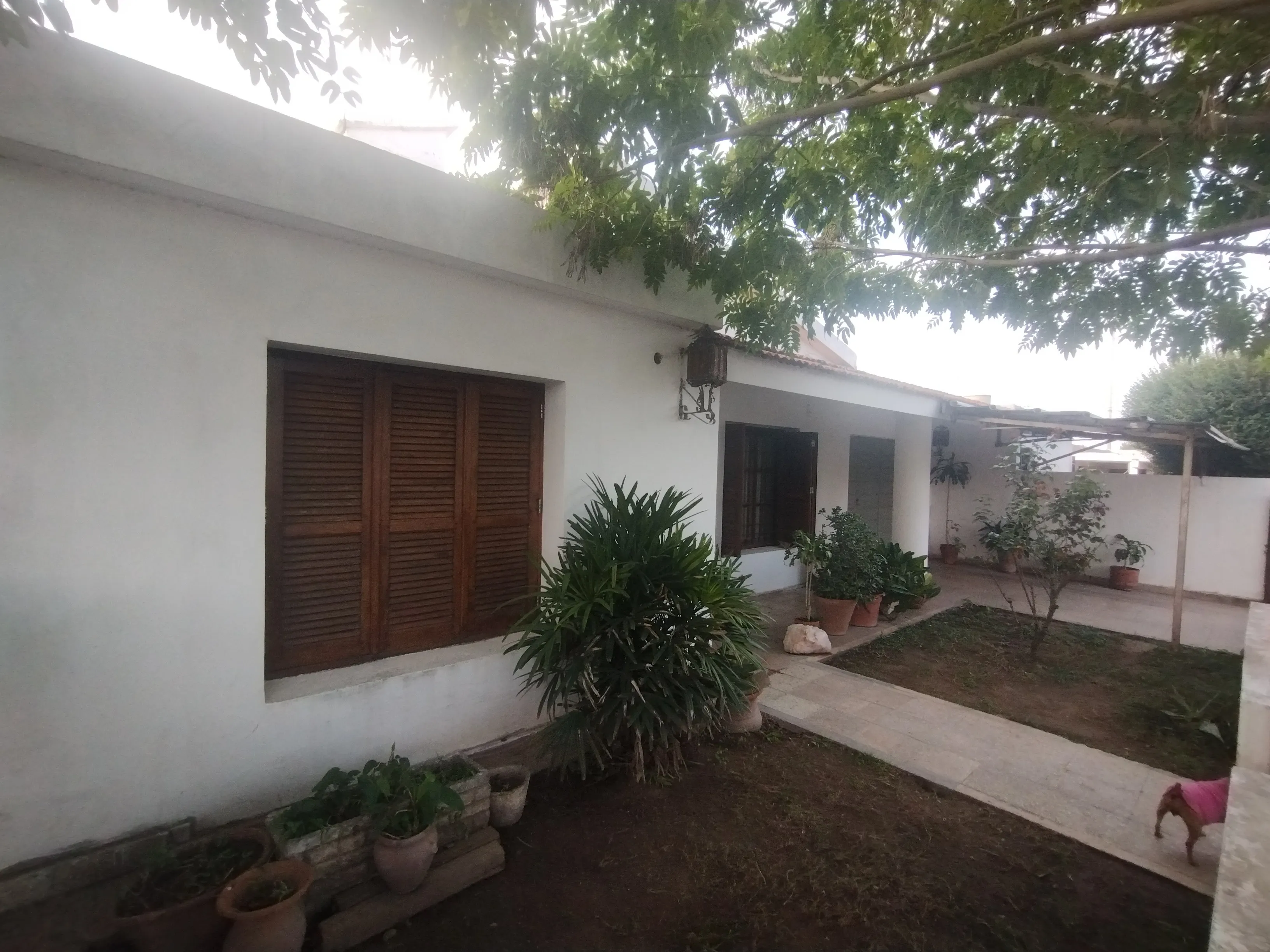 VENTA  OPORTUNIDAD CASA 2 dorm. BARRIO ITUZAINGÓ ANEXO