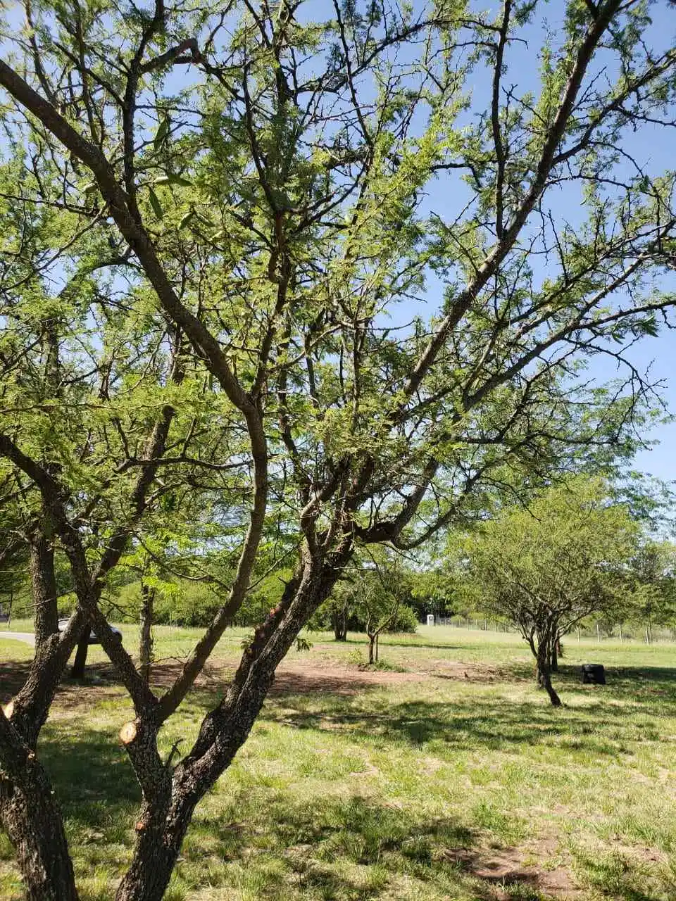 Lote en VENTA, La Serena, Mendiolaza