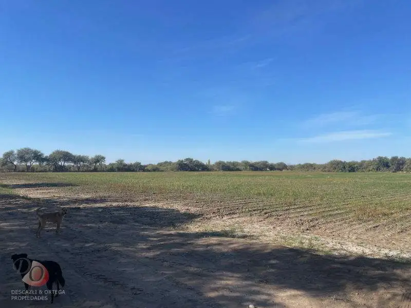 CRUZ DEL EJE- 82HAS-CAMPO EN VENTA- EN ZONA DE PALO PARADO-