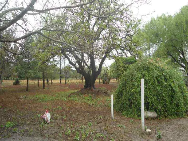 APTO LOTEO!! EN VENTA 4 HAS ZONA CAMINO 60 CUADRAS
