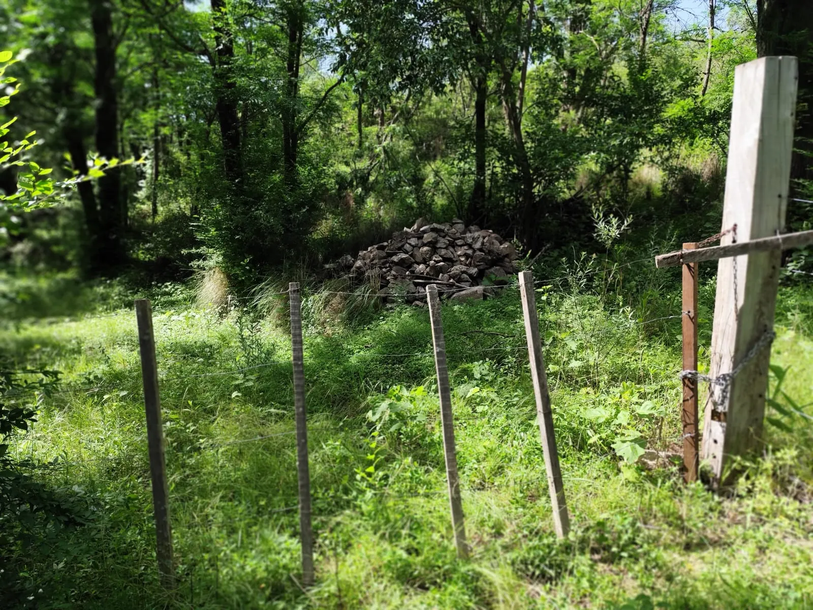 VENTA DE TERRENO en Pan de Azúcar