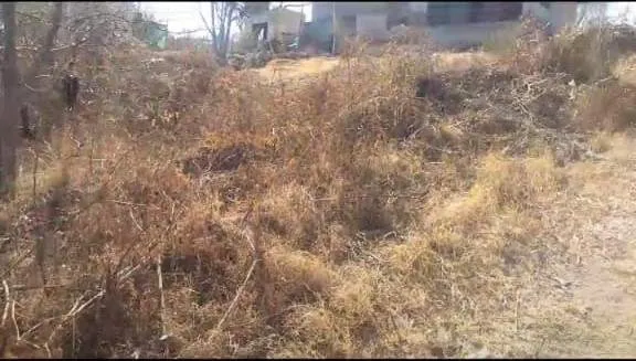 TERRENO PARA INVERSION EN BIALET MASSÉ