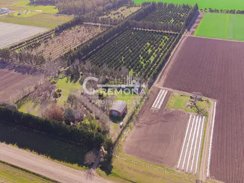 Campo en Venta en San Pedro, Partido de San Pedro