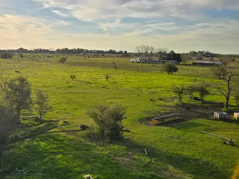 Campo en Venta en Bme Bavio Gral Mansilla, Partido de Magdalena