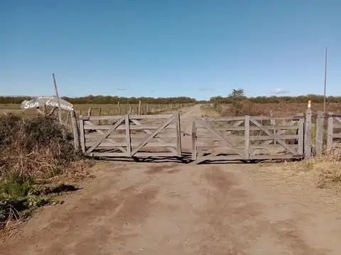 Terreno en Venta en Carpintería, Junín