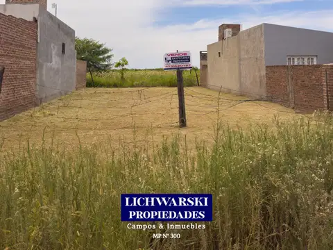 Terreno en Venta en Charata, Chacabuco
