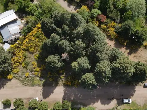 Terreno en Venta en Dina Huapi, Pilcaniyeu
