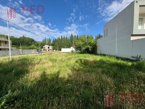 Terreno en Venta en Plottier, Confluencia