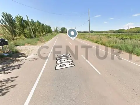 Campo en Venta en Carrizal de Arriba, Luján de Cuyo