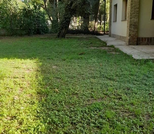 Casa · 300m² · 5 Ambientes · 1 Cochera