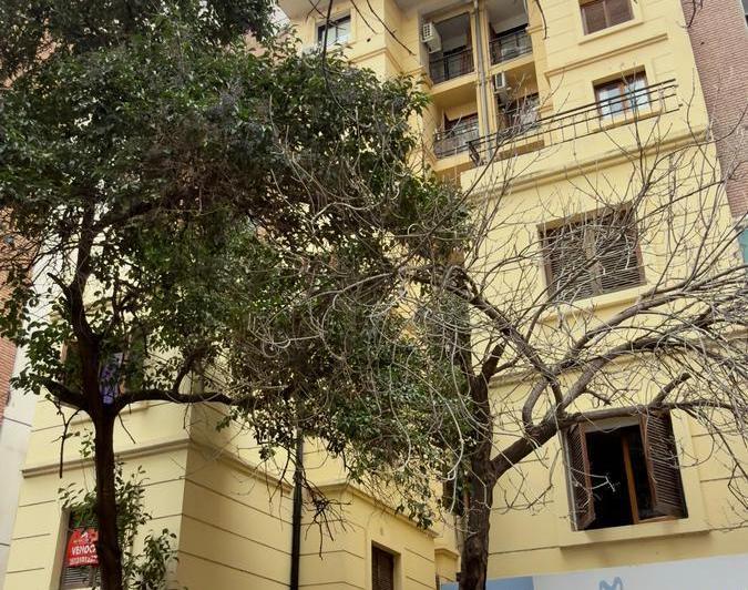 Departamento · 60m² · 3 Ambientes