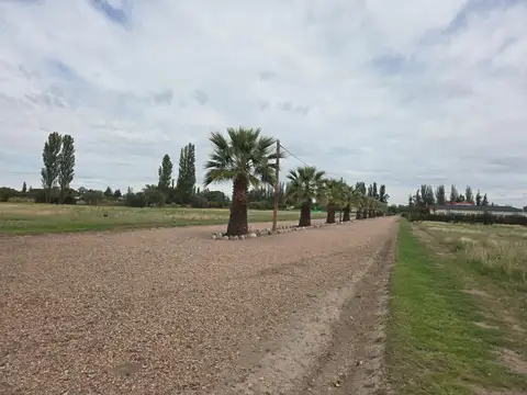 Terreno en Venta en Pedro Vargas, San Rafael