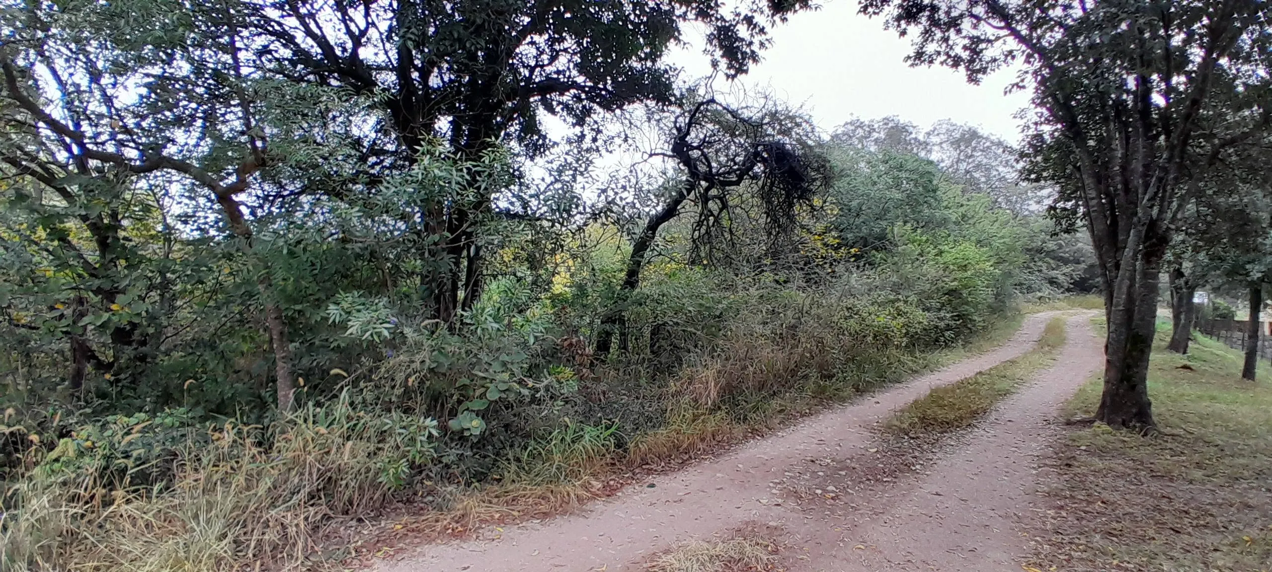 Se VENDE lote de 1349 mts sobre calle Las Lengas Barrio Selva Negra La Granja
