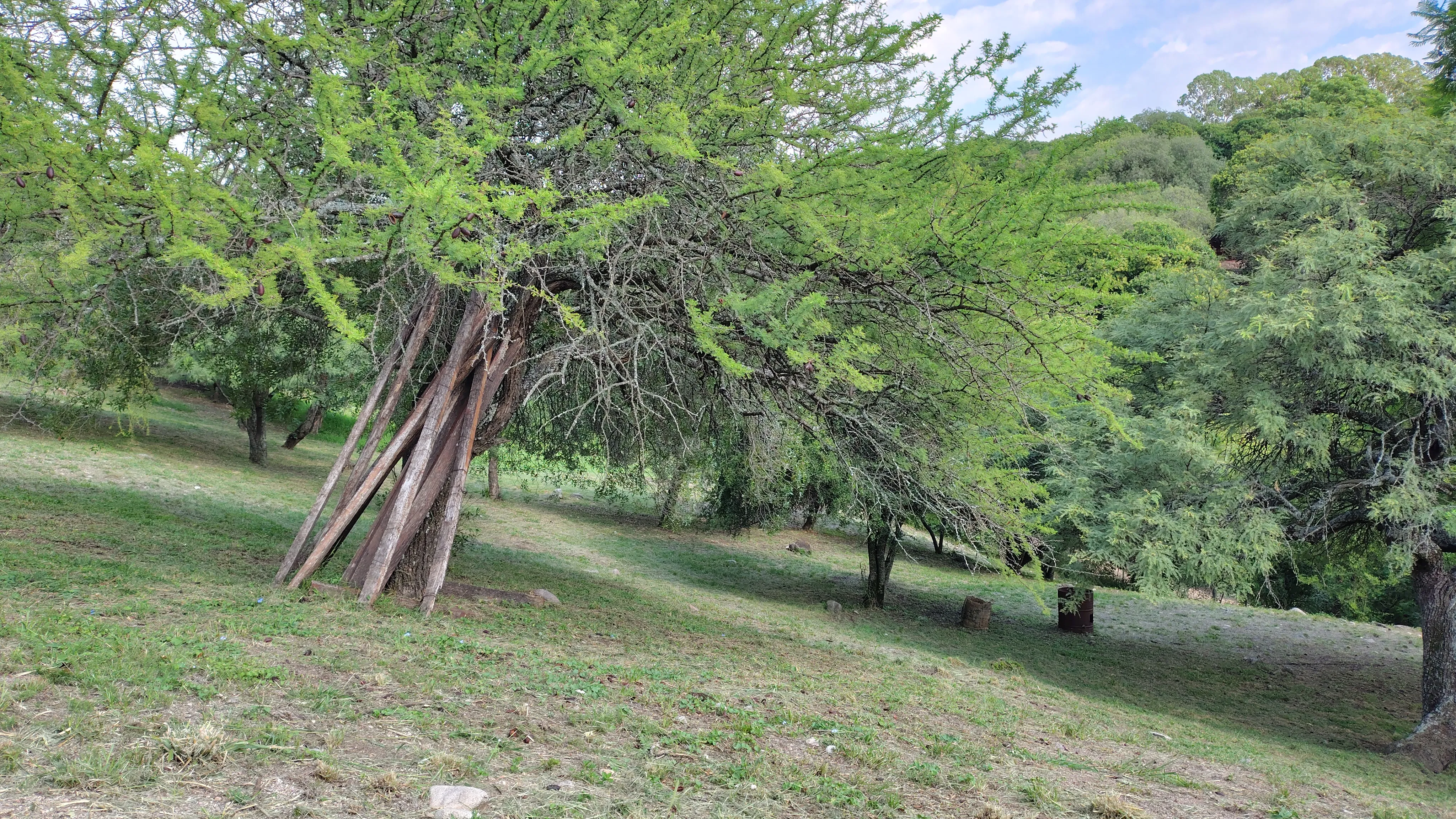 Lote de terreno se Vende en La Granja 1800 mts