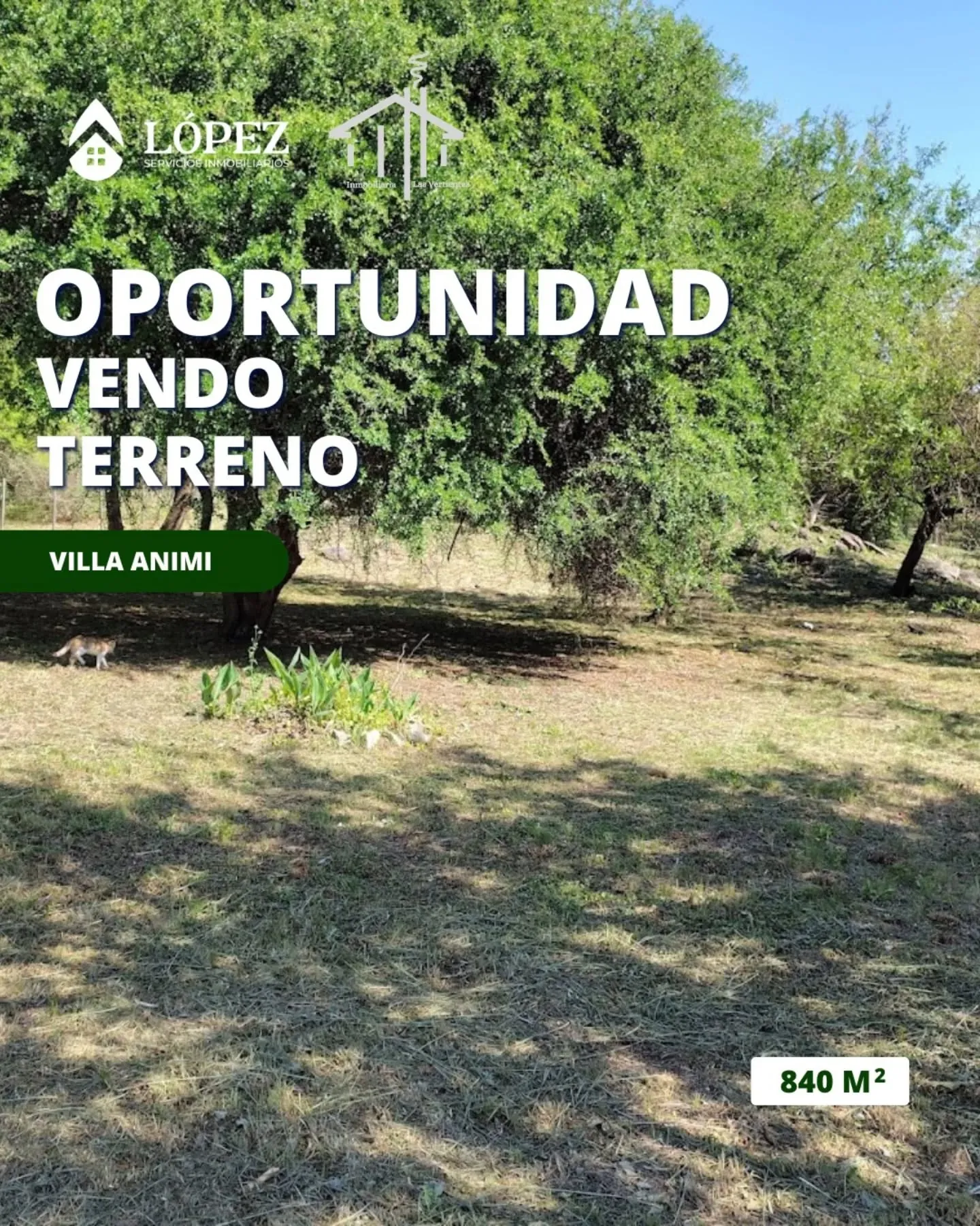 Lote de 840 mts parquizado listo para construir