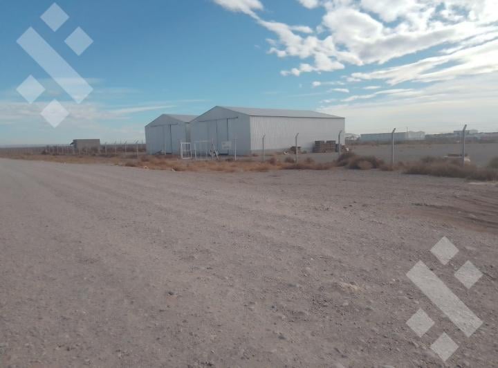 Bodega-Galpón · 320m²