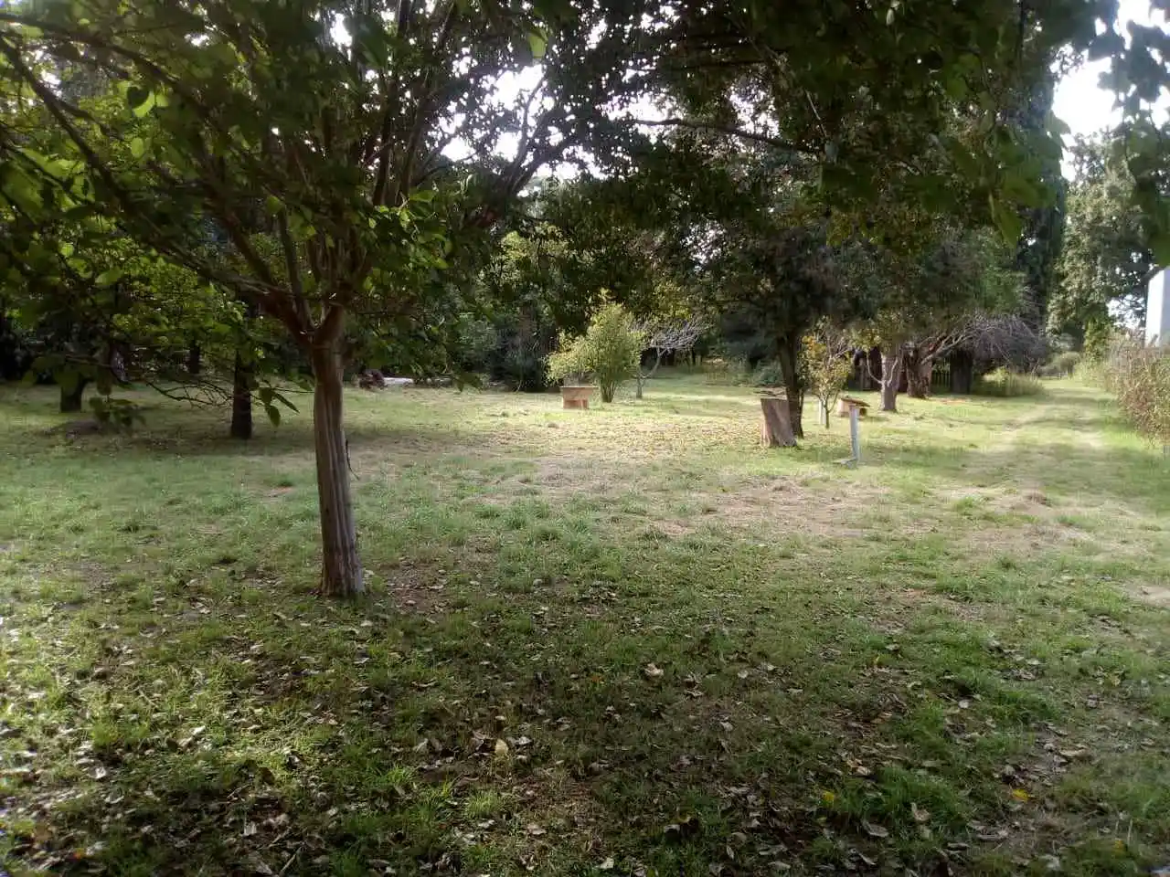 Hermoso Lote 4830m2 Parquizado C/ Casa 2 Dorm. Escucho Oferta!.