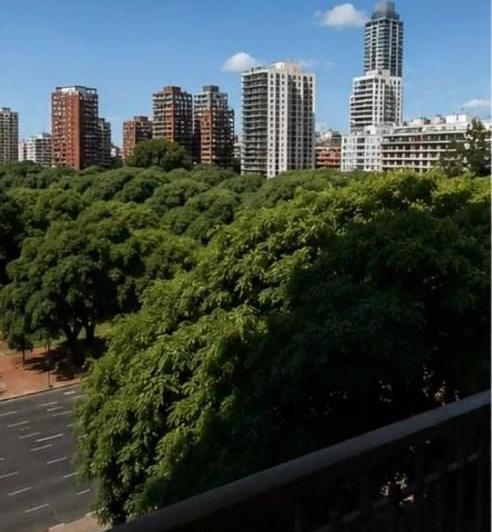 Departamento · 320m² · 7 Ambientes · 2 Cocheras