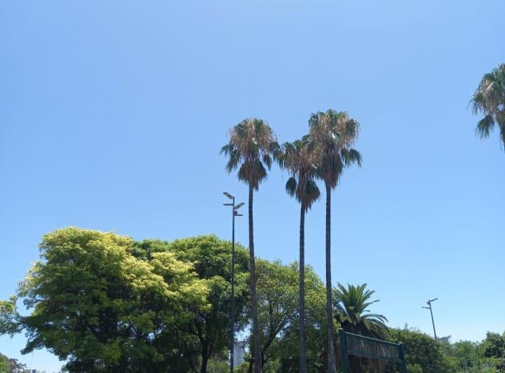 Departamento · 36m² · 2 Ambientes