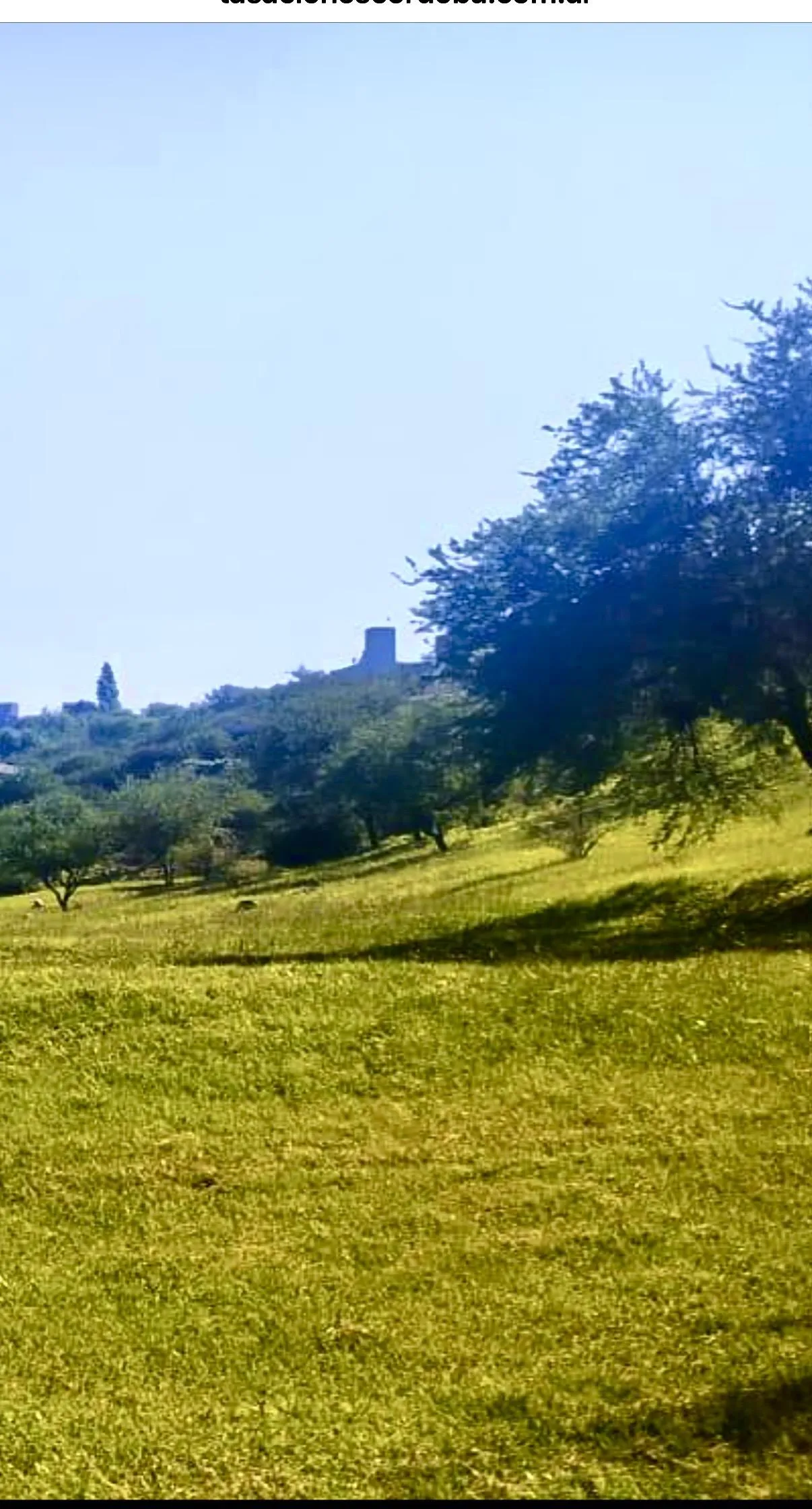 CUMBRES DEL GOLF ESPECTACULAR TERRENO 1127M2 CON VISTAS INCREIBLES. CONSULTANOS
