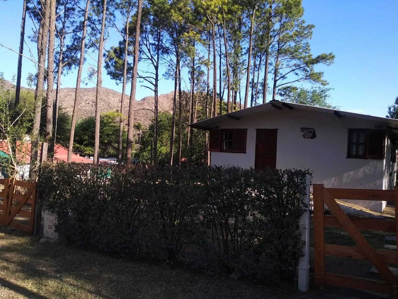 Menos ruido, más verde: La casa que entiende tu necesidad de paz