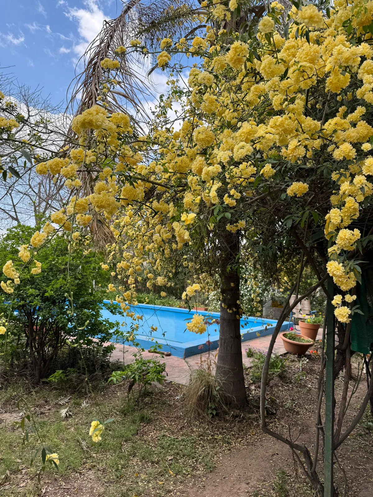 VENDO Casa sobre Av. Tissera - Talar de Mendiolaza- Cordoba