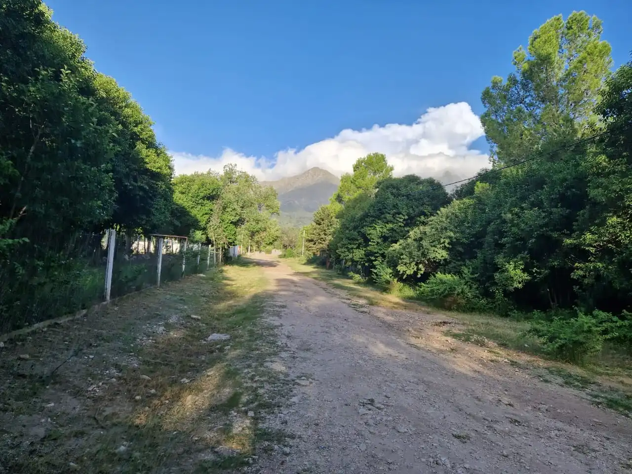 Lote en Los Hornillos Media Hectárea 5.000 mts2 EN VENTA!