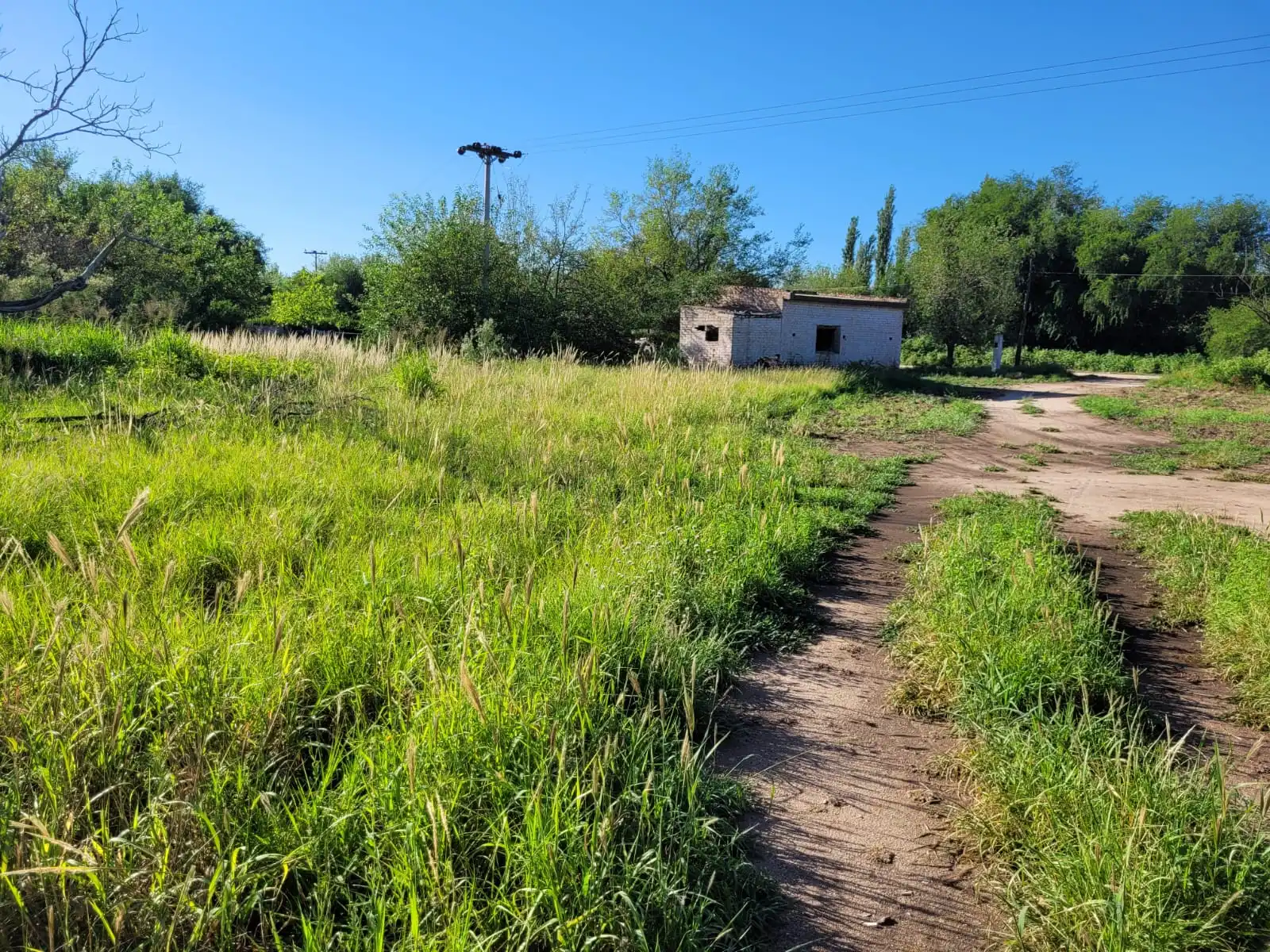 Venta de Terreno en San José 1 Hectárea! Dpto San Javier Pcia de Córdoba Lote