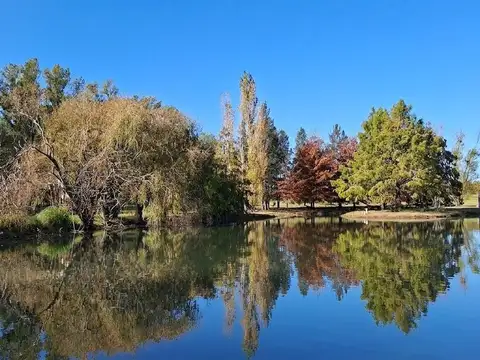 Campo en Venta en Zarate, Partido de Zárate