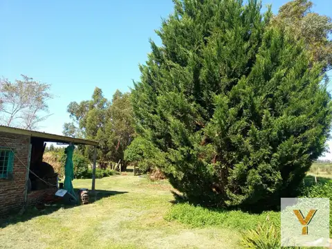 Quinta en Venta en Necochea, Partido de Necochea