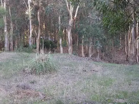 Terreno en Venta en Mar de las Pampas, Partido de Villa Gesell