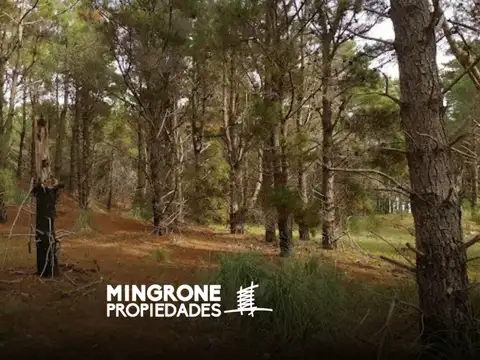 Terreno en Venta en Punta Medanos Pueblo Maritimo, Punta Medanos