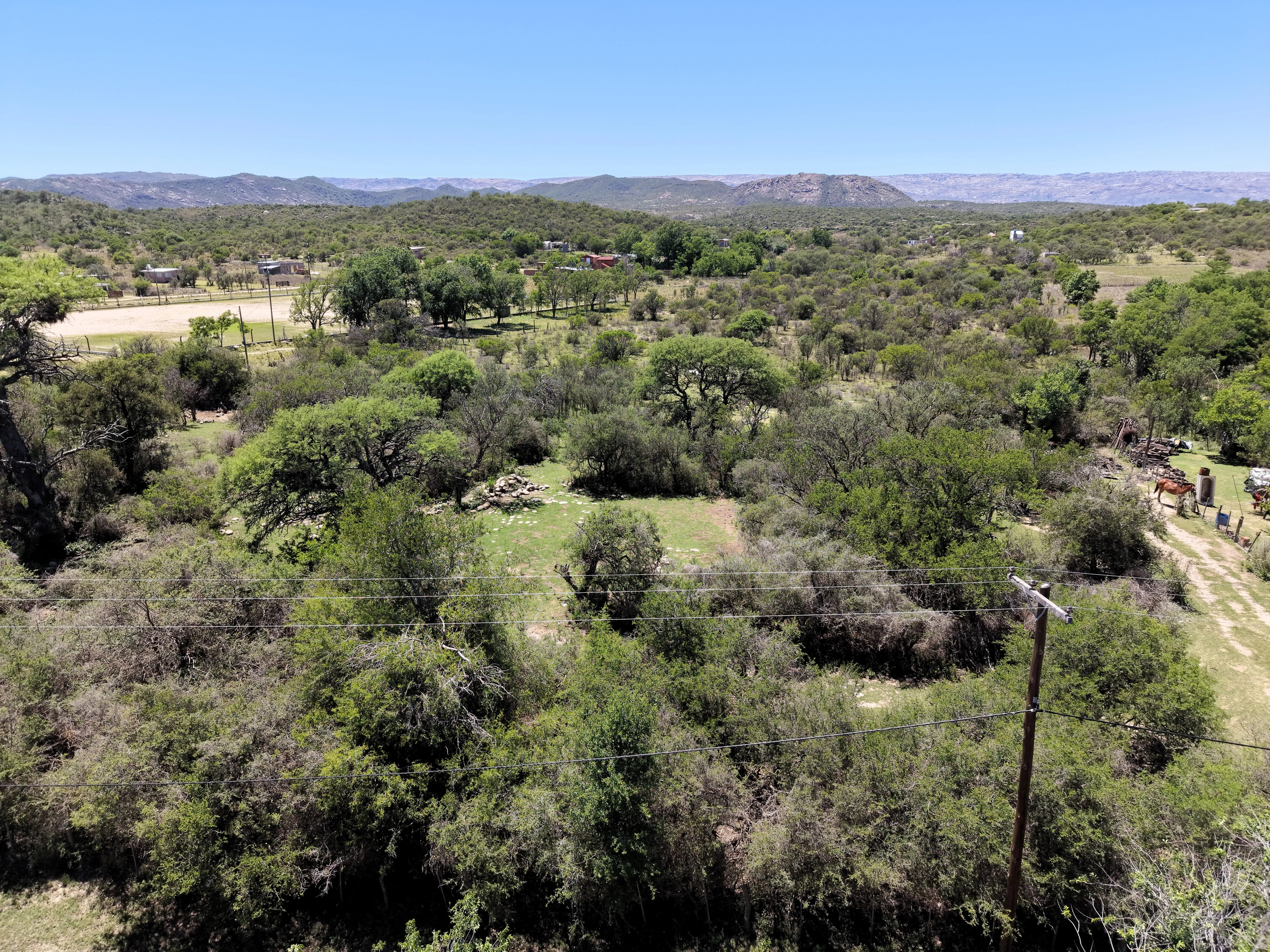 VENTA TERRENO DE 18.250M2 EN PANAHOLMA, FRENTE AL RIO.