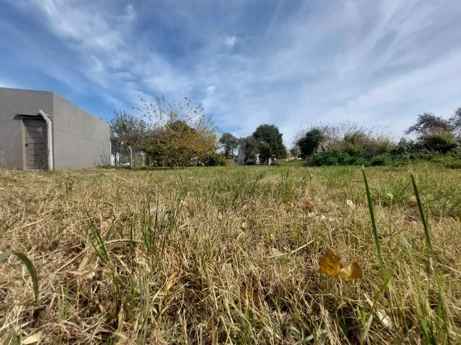 VENTA- LOTES/TERRENOS COLONIA CAROYA CALLE 40