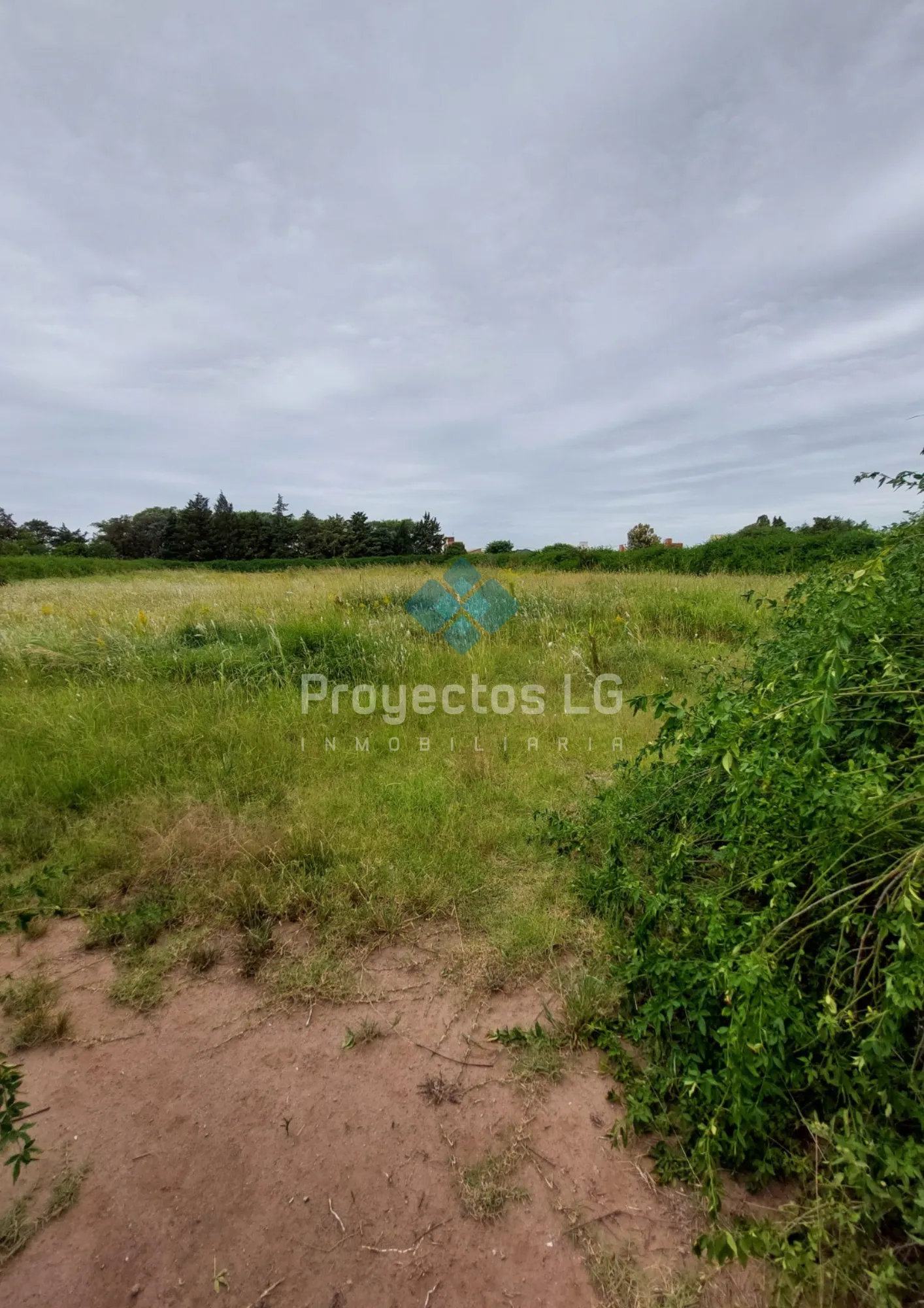VENTA- 2 LOTES DE 2.500 M2 - SINSACATE