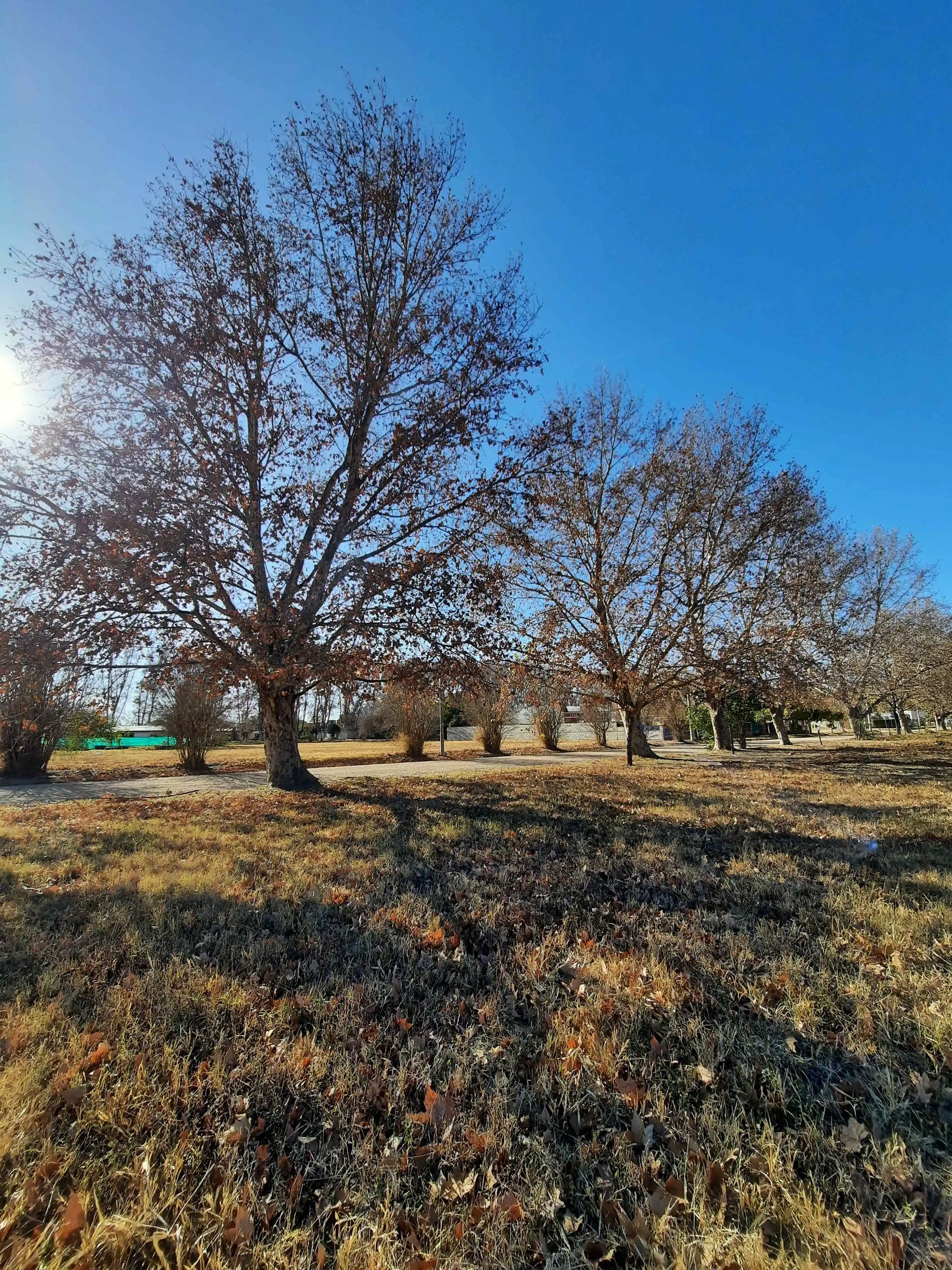 PRE-VENTA-LOTES COLONIA CAROYA-550m2
