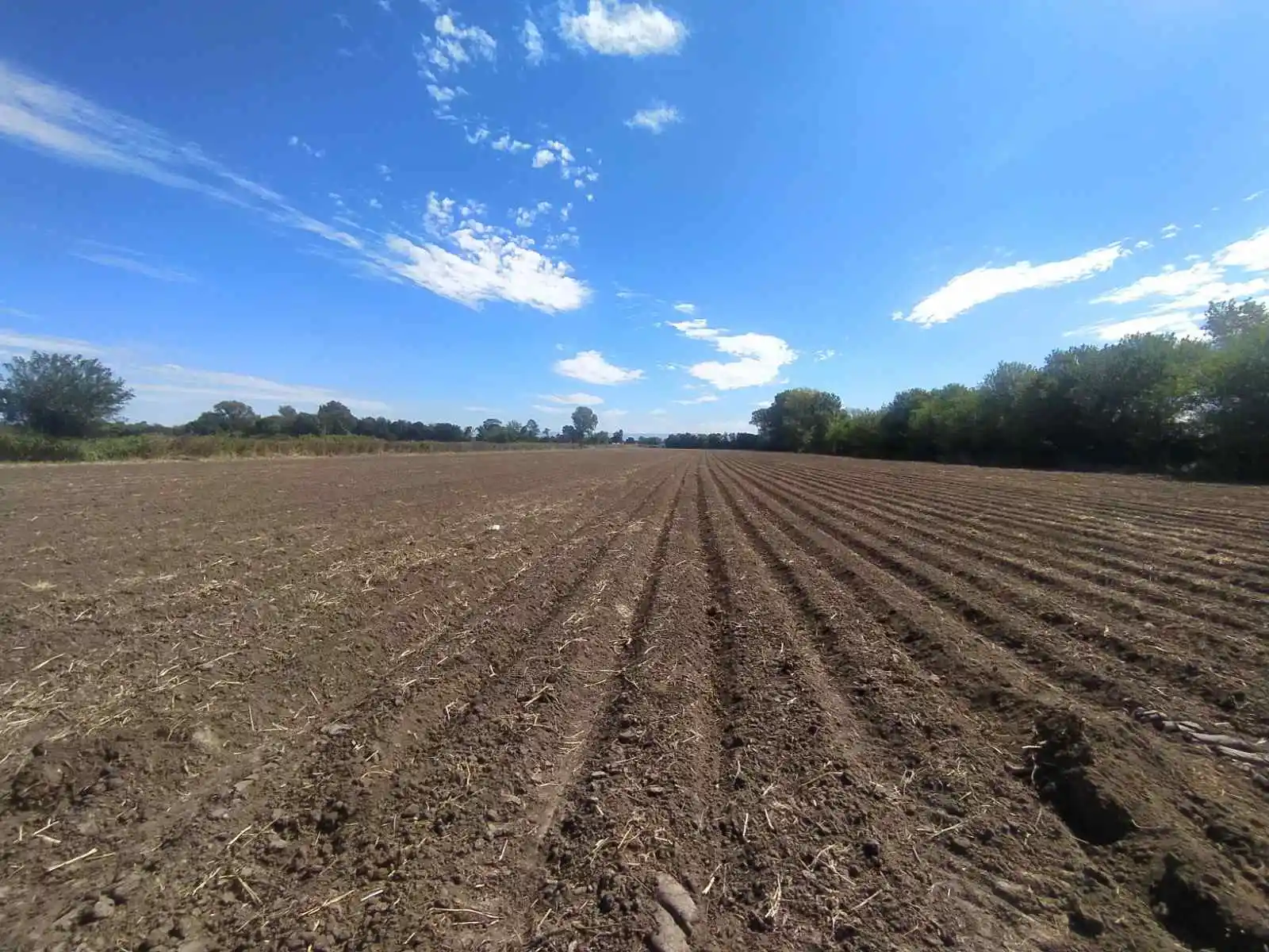 3 HECTAREAS - CAMINO 60 CUADRAS- RECIBE MENOR