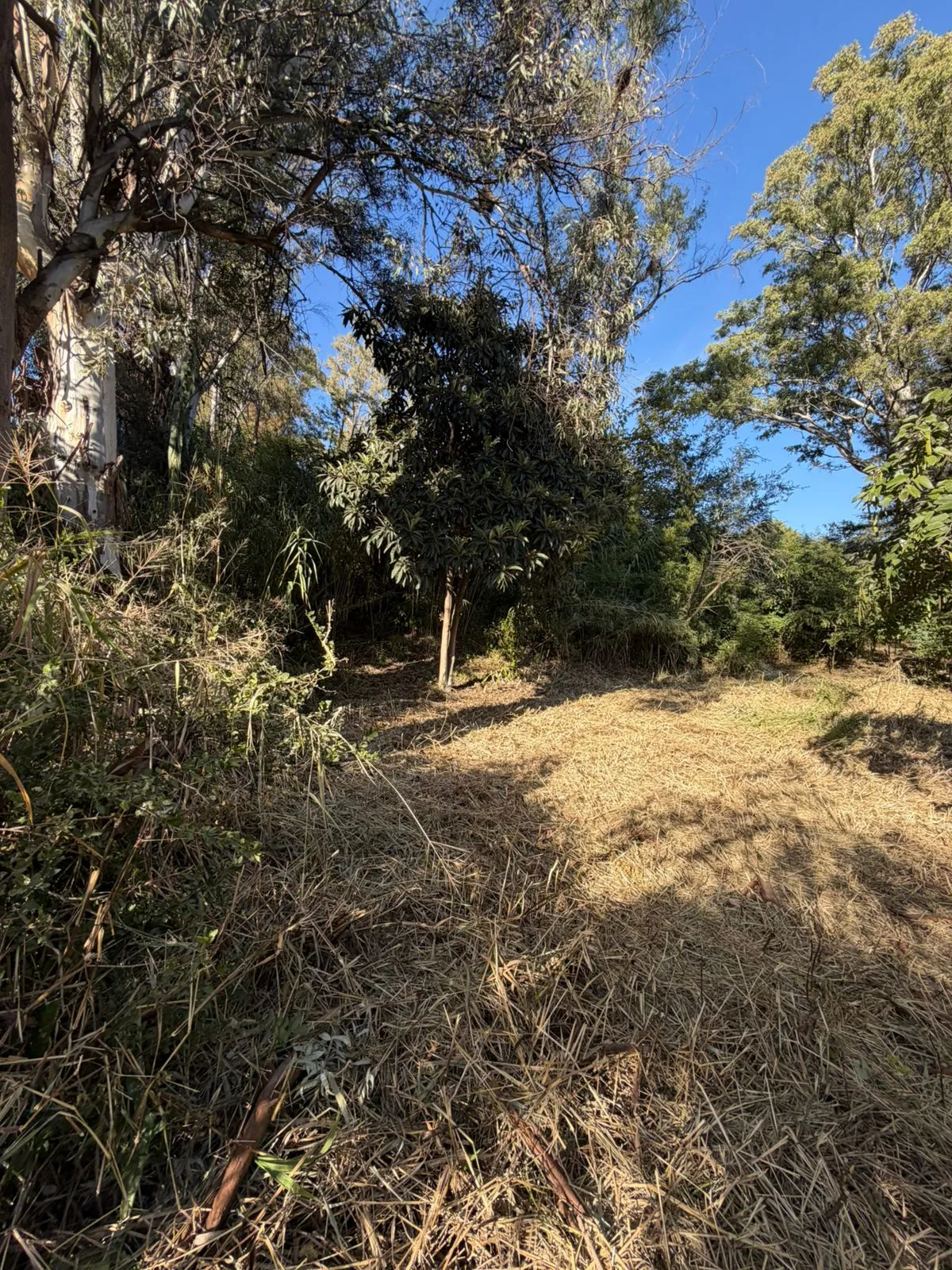 Se VENDE terreno exc ubicación