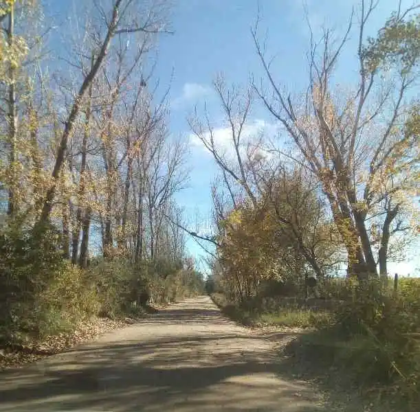FINCA DE 12 HECTÁREAS REBAJADA!!! OPORTUNIDAD