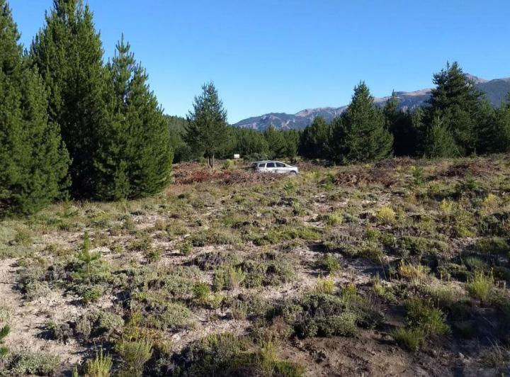 Terreno · 1365m²