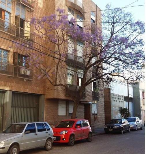 Departamento · 67m² · 3 Ambientes