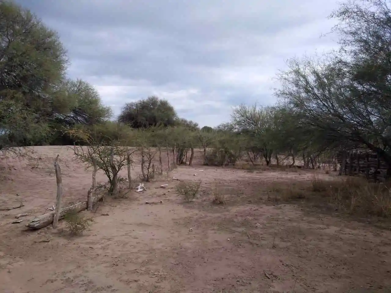 VENTA 10200   Hectáreas CHEPES LA RIOJA precio por hectárea