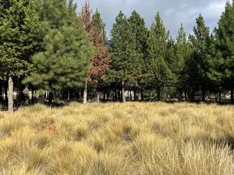 Terreno en Venta en San Carlos de Bariloche, Bariloche