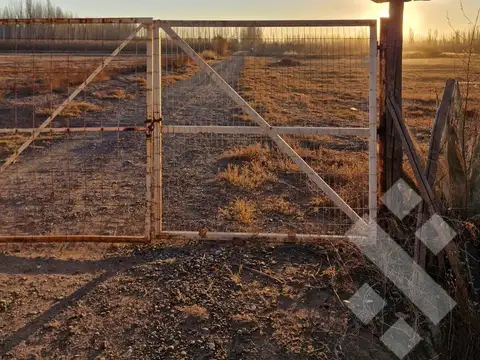 Terreno en Venta en Cipolletti, General Roca